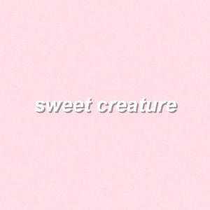 Meet your Posher, Dantavia